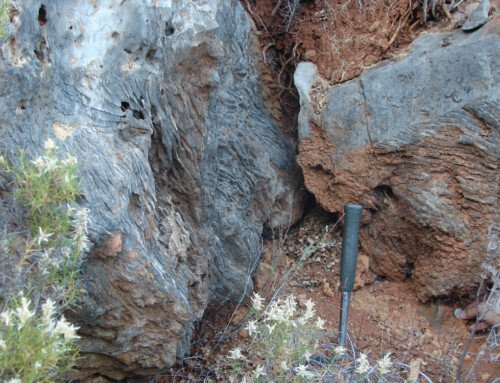 An Upper Jurassic Fossil Coral Layer near Cerro Grande